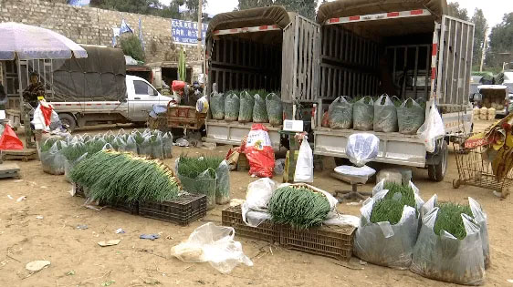 安徽农产品销毁公司