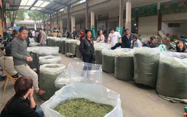 安徽茶叶销毁处理