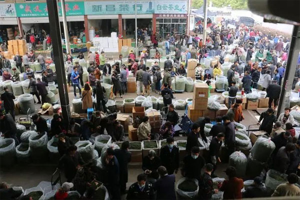 安徽茶叶销毁处理