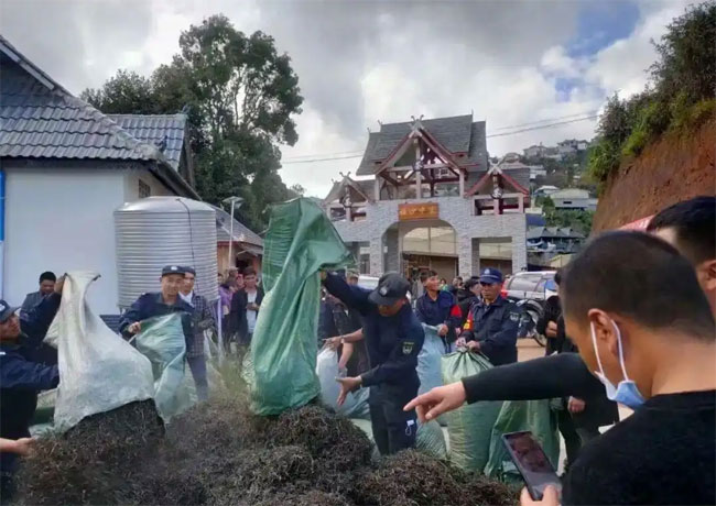 茶叶销毁公司